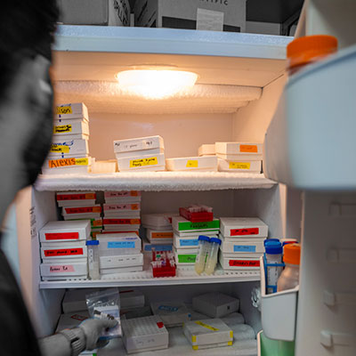 Reagents in Cold Storage (-20°C)