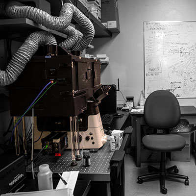 Nikon Microscope with Live Cell Chamber