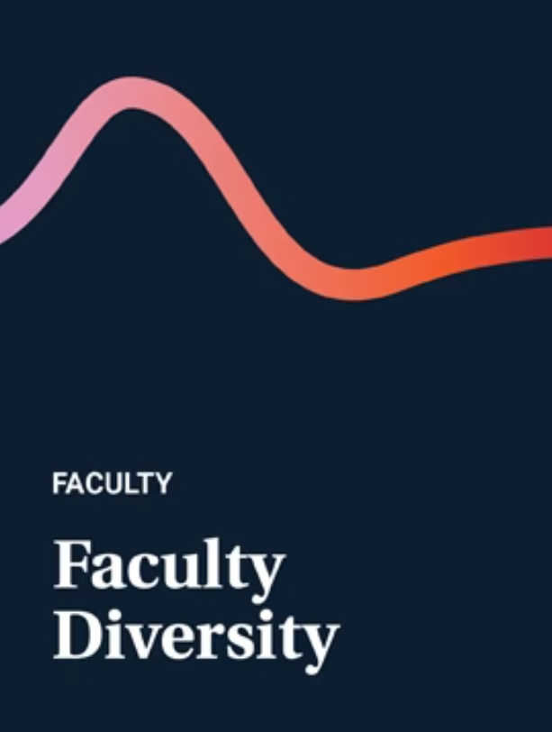 02-faculty-diversity.png