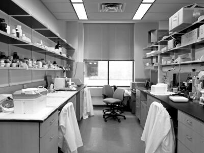 As its federal funds have declined, the State University of New York at Stony Brook (shown here, its bionanotechnology lab) has concentrated on attracting more research money from corporations and state partnerships.