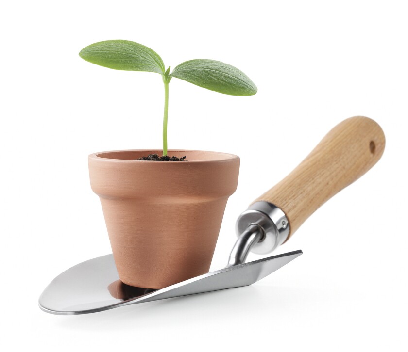 How to Cultivate Faculty Leaders 4