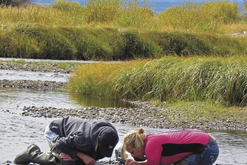 Academic Calendars Enter A Season Of Change university of montana 2021 19 academic calendar