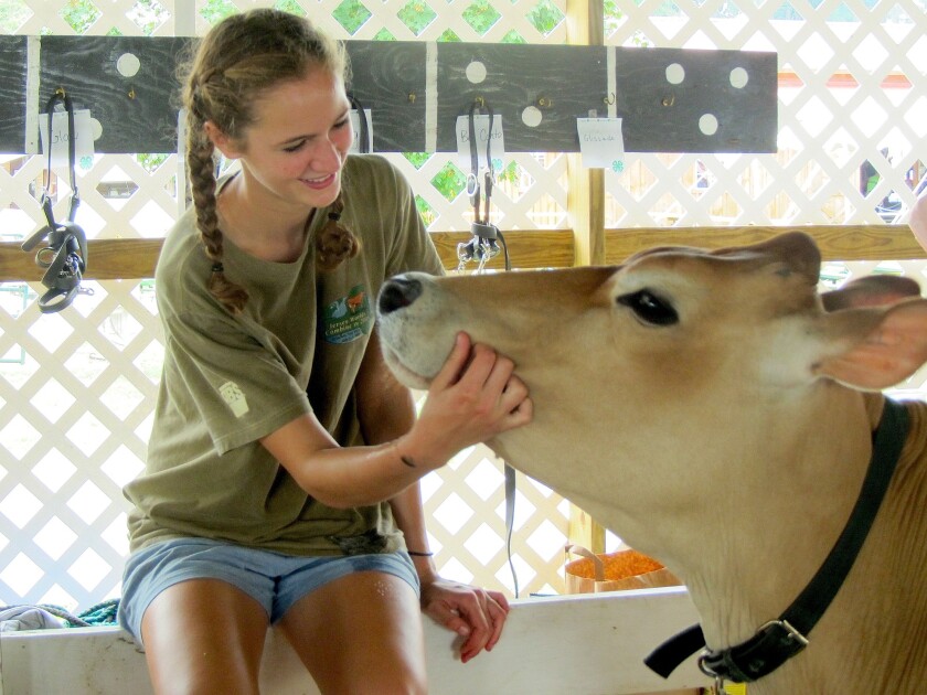 Katherine with Glow, her Jersey cow