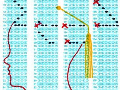 Why We All Have a Stake in the Common Core Standards 1