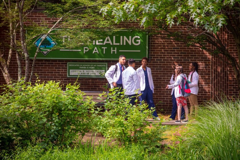 Photo healing path for page 4-5 Our Campus Locations.jpg