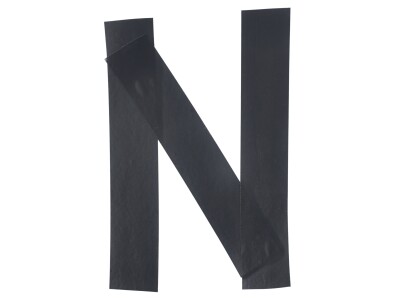 On Being a Black Scholar in America 1